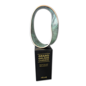 Trophée sculpture de bronze | Möbius du Grand diplômé carrière