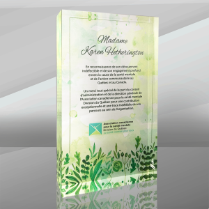 Trophée d'acrylique | ACSM